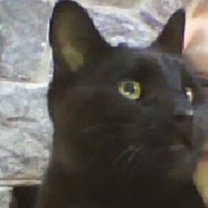 Meet your Posher, Caleb